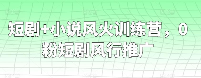 短剧+小说风火训练营，0粉短剧风行推广-E网资源