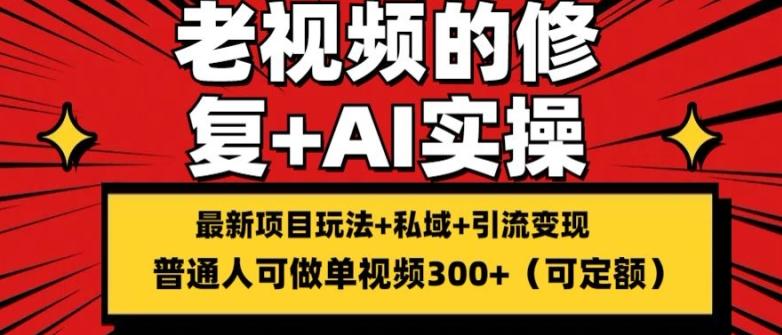 修复老视频的玩法，搬砖+引流的变现(可持久)，单条收益300+【揭秘】-E网资源