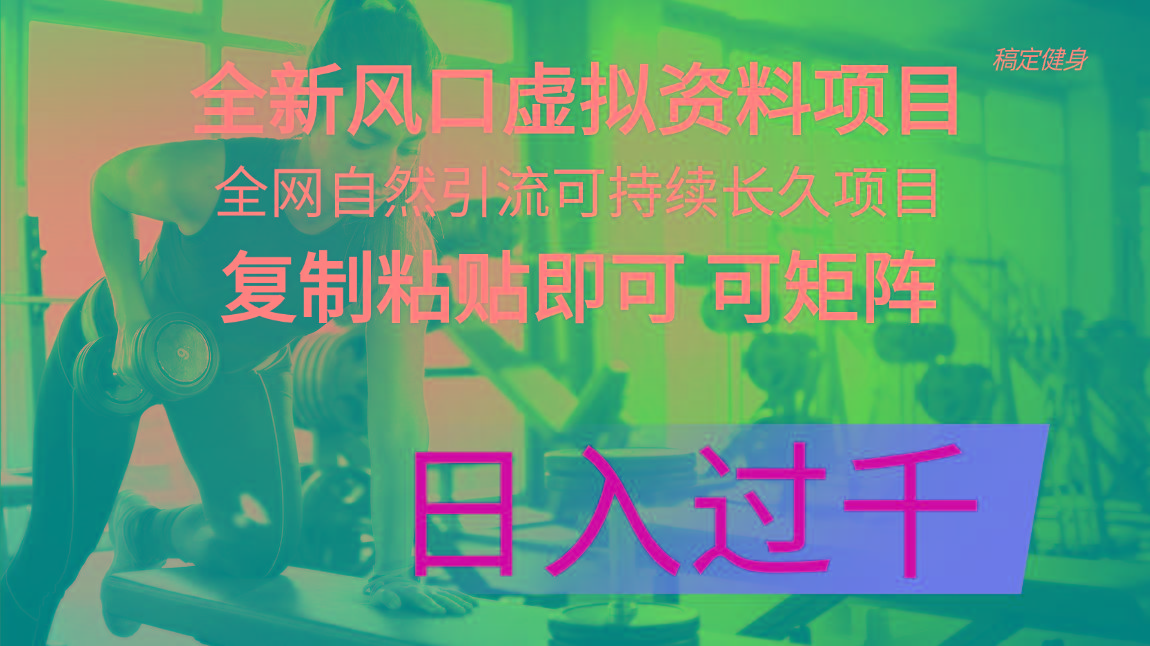 全新风口虚拟资料项目 全网自然引流可持续长久项目 复制粘贴即可可矩阵...-E网资源