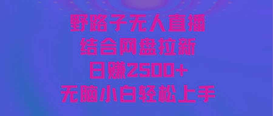 无人直播野路子结合网盘拉新，日赚2500+多平台变现，小白无脑轻松上手操作-E网资源