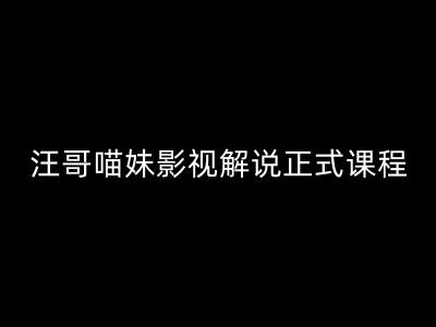 汪哥影视解说正式课程：剪映/PR教学/视解说剪辑5大黄金法则/全流程剪辑7把利器等等-E网资源