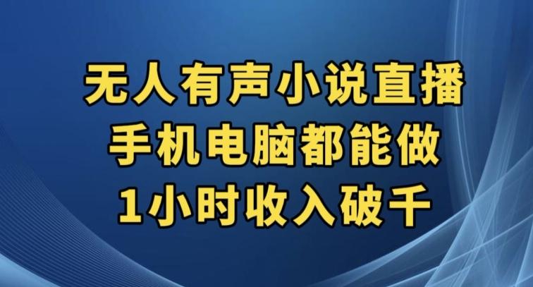 抖音无人有声小说直播，手机电脑都能做，1小时收入破千【揭秘】-E网资源