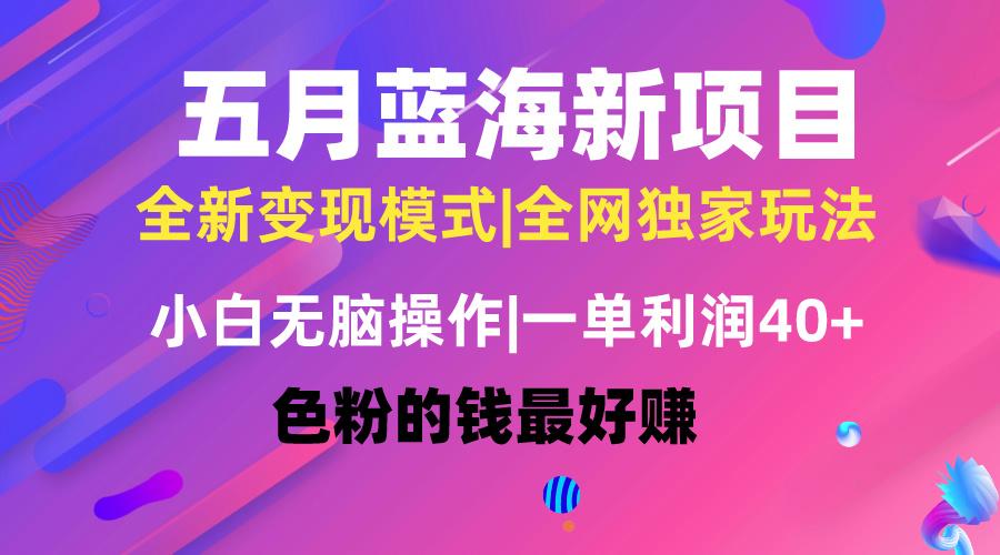 五月蓝海项目全新玩法，小白无脑操作，一天几分钟，矩阵操作，月入4万+-E网资源