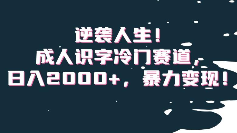 逆袭人生！成人识字冷门赛道，日入2000+，暴力变现！【揭秘】-E网资源