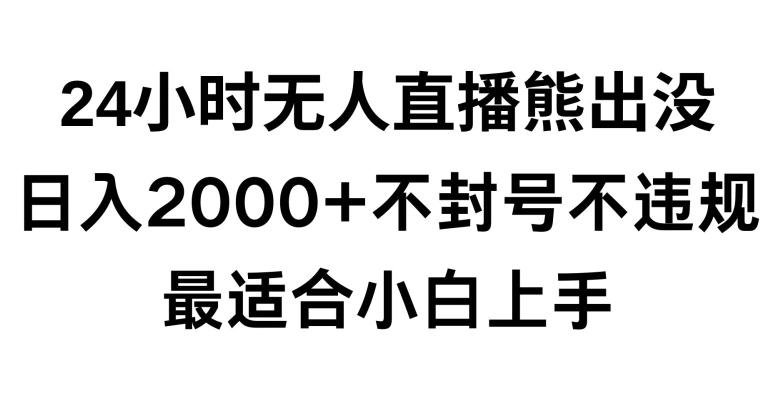 快手24小时无人直播熊出没，不封直播间，不违规，日入2000+，最适合小白上手，保姆式教学【揭秘】-E网资源