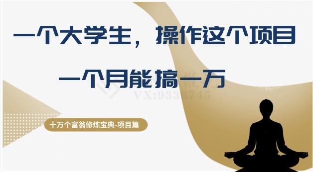 十万个富翁修炼宝典之4.一个大学生操作这个项目，一个月能搞一万-E网资源