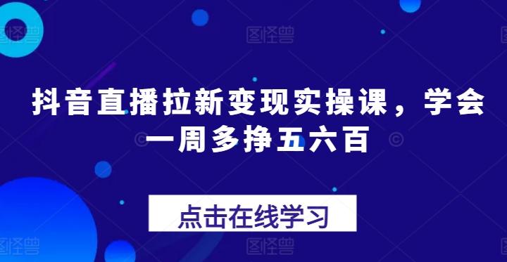 抖音直播拉新变现实操课，学会一周多挣五六百-E网资源
