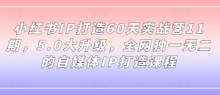 小红书IP打造60天实战营11期，5.0大升级，全网独一无二的自媒体IP打造课程-E网资源