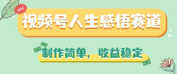 视频号人生感悟赛道，制作简单，收益稳定【揭秘】-E网资源