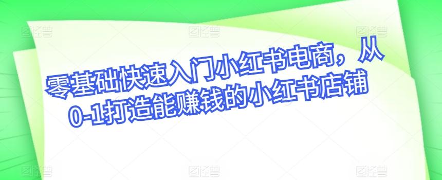 零基础快速入门小红书电商，从0-1打造能赚钱的小红书店铺-E网资源