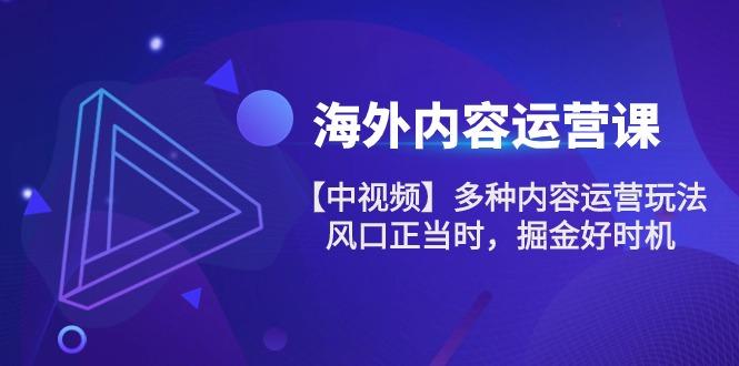 海外内容 运营课【中视频】多种内容运营玩法 风口正当时 掘金好时机-101节-E网资源