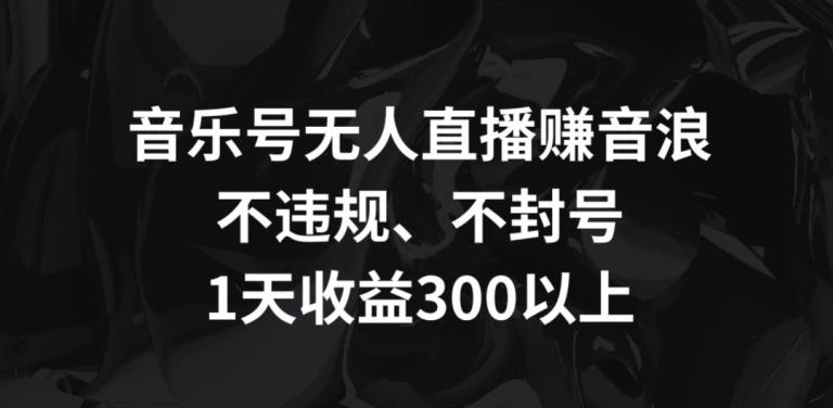 音乐号无人直播赚音浪，不违规、不封号，1天收益300+【揭秘】-E网资源