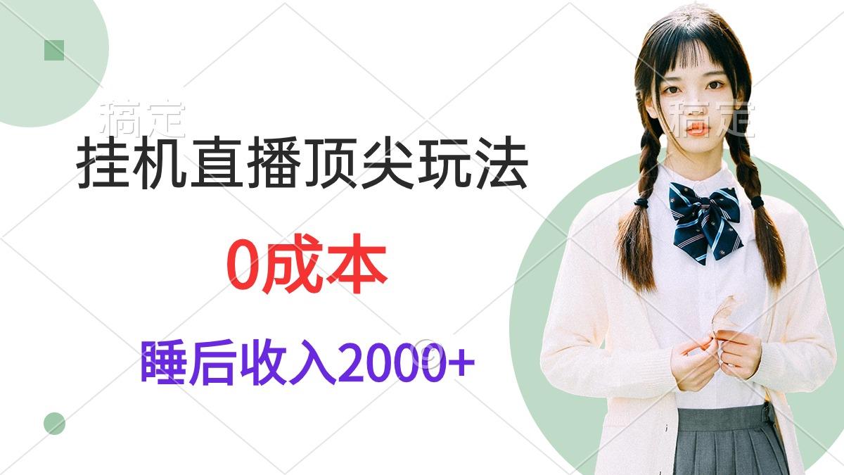 (9715期)挂机直播顶尖玩法，睡后日收入2000+、0成本，视频教学-E网资源