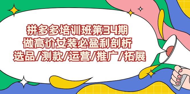 (9333期)拼多多培训班第34期：做高价女装必盈利剖析  选品/测款/运营/推广/拓展-E网资源
