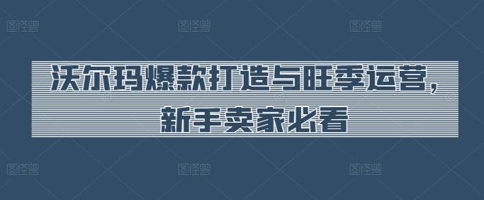 沃尔玛爆款打造与旺季运营，新手卖家必看-E网资源