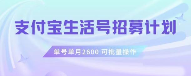 支付宝生活号作者招募计划，单号单月2600，可批量去做，工作室一人一个月轻松1w+【揭秘】-E网资源