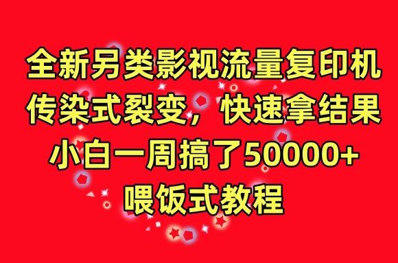 全新另类影视流量复印机，传染式裂变，快速拿结果，小白一周搞了50000+，喂饭式教程【揭秘】-E网资源