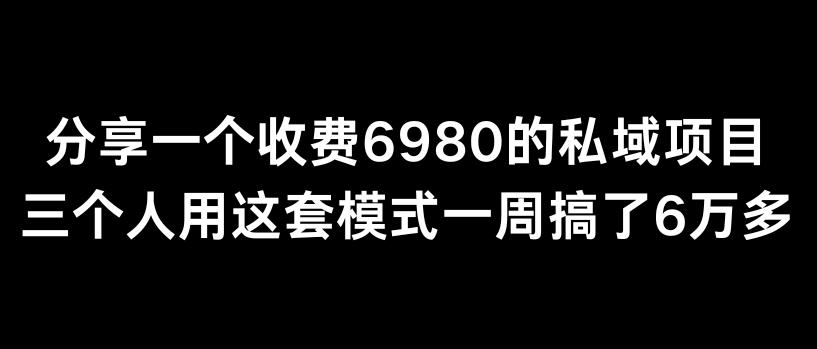 分享一个外面卖6980的私域项目三个人用这套模式一周搞了6万多【揭秘】-E网资源