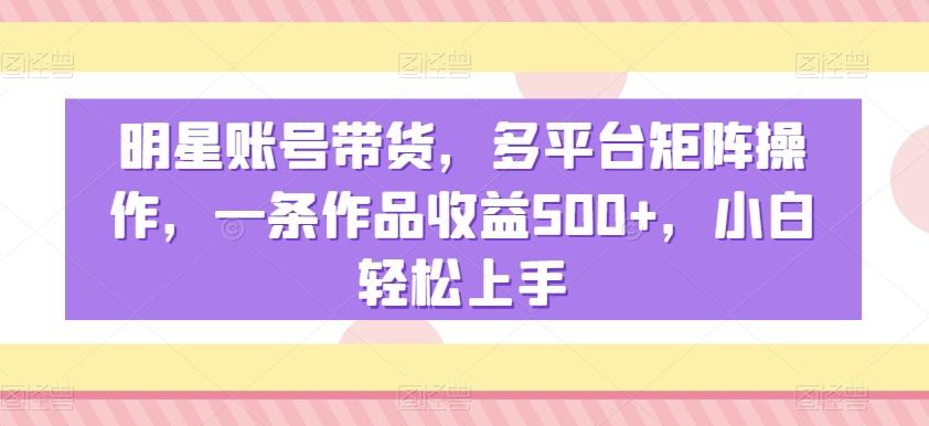 明星账号带货，多平台矩阵操作，一条作品收益500+，小白轻松上手【揭秘】-E网资源
