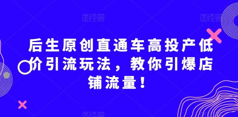 后生原创直通车高投产低价引流玩法，教你引爆店铺流量！-E网资源