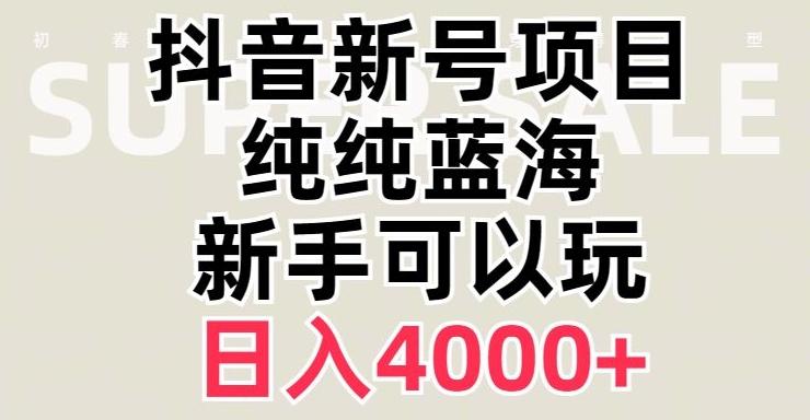 抖音蓝海赛道，必须是新账号，日入4000+【揭秘】-E网资源