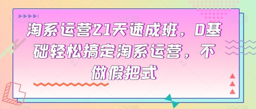 淘系运营21天速成班，0基础轻松搞定淘系运营，不做假把式-E网资源