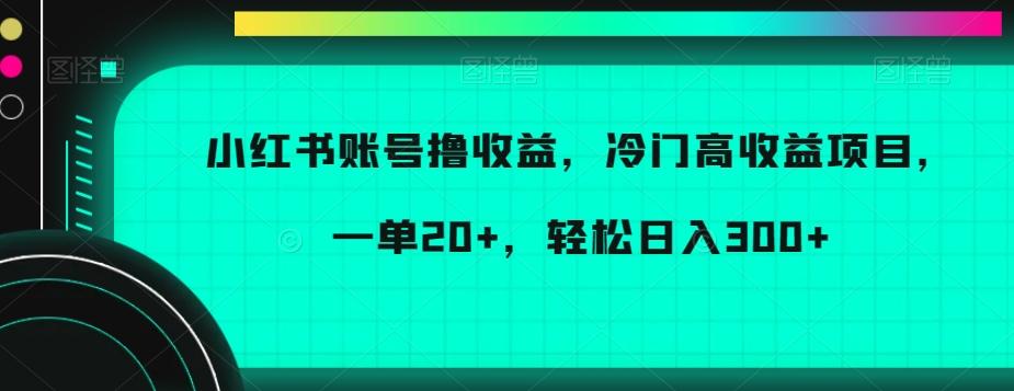小红书账号撸收益，冷门高收益项目，一单20+，轻松日入300+【揭秘】-E网资源
