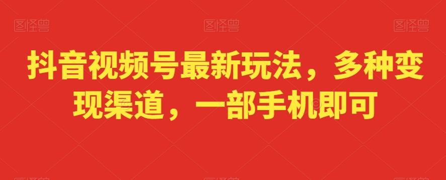 抖音视频号最新玩法，多种变现渠道，一部手机即可-E网资源