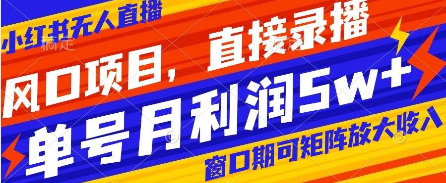 风口项目，小红书无人直播带货，直接录播，可矩阵，月入5w+【揭秘】-E网资源