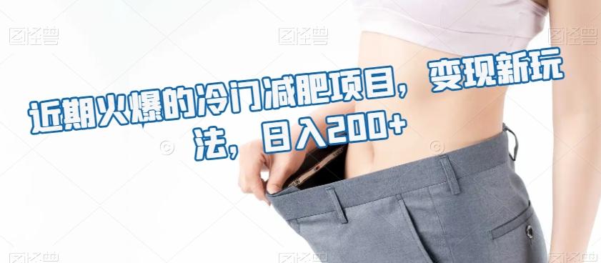 近期火爆的冷门减肥项目，变现新玩法，日入200+-E网资源