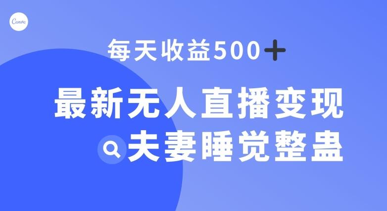 最新无人直播变现，夫妻睡觉整蛊，每天躺赚500+【揭秘】-E网资源