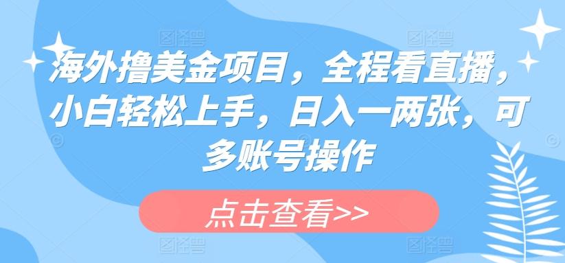海外撸美金项目，全程看直播，小白轻松上手，日入一两张，可多账号操作【揭秘】-E网资源