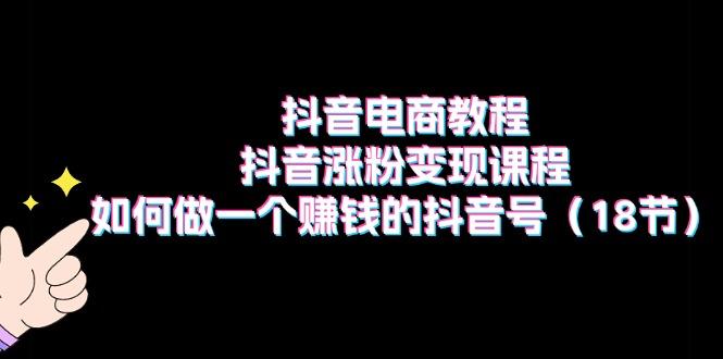 抖音电商教程：抖音涨粉变现课程：如何做一个赚钱的抖音号(18节-E网资源