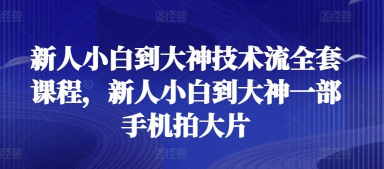 新人小白到大神技术流全套课程，新人小白到大神一部手机拍大片-E网资源