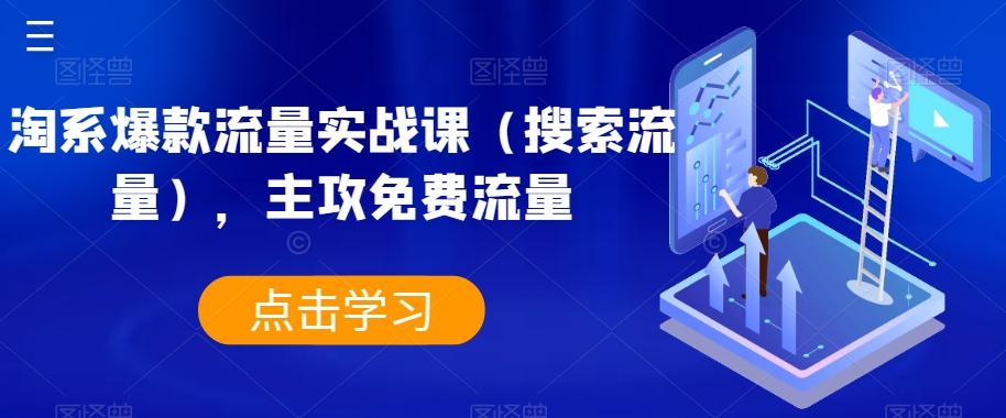 淘系爆款流量实战课（搜索流量），主攻免费流量-E网资源
