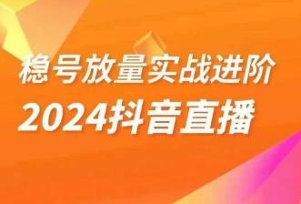 稳号放量实战进阶—2024抖音直播，直播间精细化运营的几大步骤-E网资源