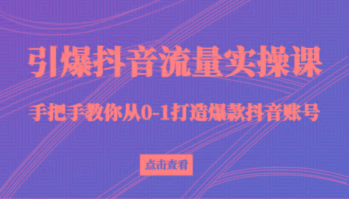 引爆抖音流量实操课，手把手教你从0-1打造爆款抖音账号(27节课)-E网资源
