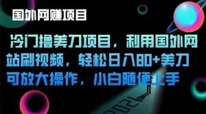 冷门撸美刀项目，利用国外网站刷视频，轻松日入80+美刀，可放大操作，小白随便上手-E网资源