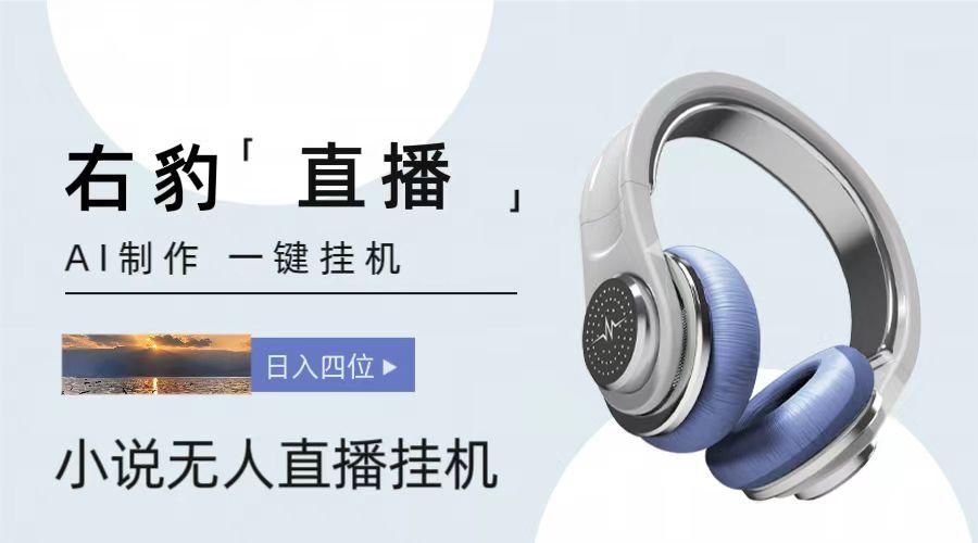 右豹小说无人直播挂机吸金项目，简单易行收益稳定， 月入1000+-E网资源