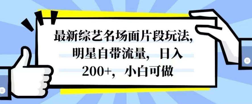 最新综艺名场面片段玩法，明星自带流量，日入200+，小白可做【揭秘】-E网资源
