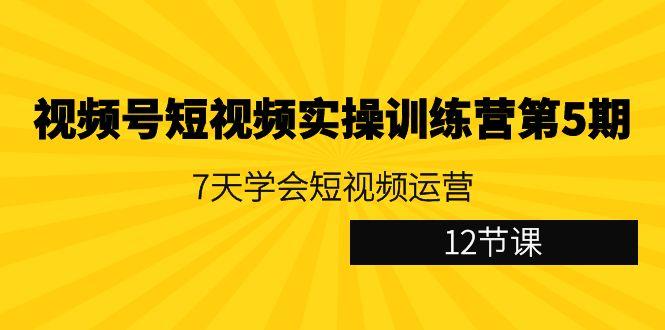 视频号短视频实操训练营第5期：7天学会短视频运营(12节课)-E网资源