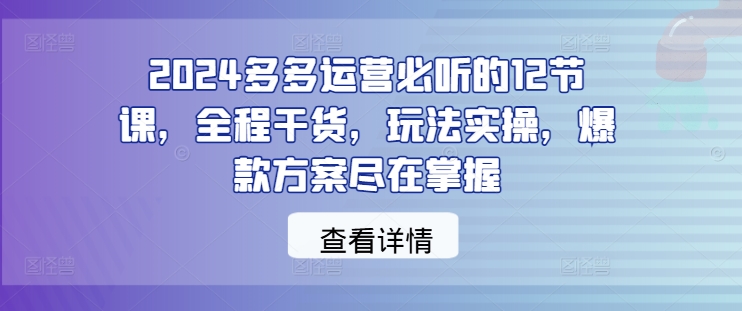 2024多多运营必听的12节课，全程干货，玩法实操，爆款方案尽在掌握-E网资源