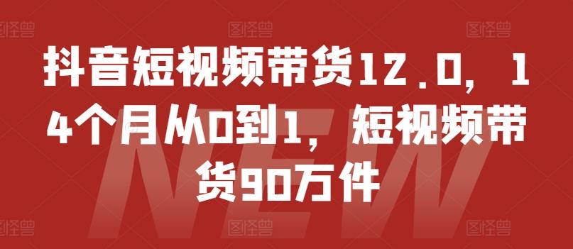 抖音短视频带货12.0，14个月从0到1，短视频带货90万件-E网资源