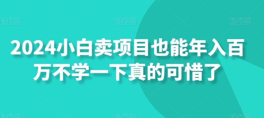 2024小白卖项目也能年入百万不学一下真的可惜了-E网资源