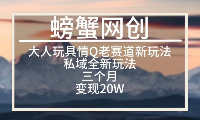大人玩具情Q用品赛道私域全新玩法，三个月变现20W，老项目新思路【揭秘】-E网资源