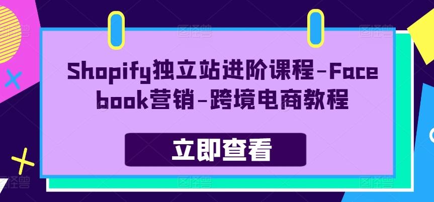 Shopify独立站进阶课程-Facebook营销-跨境电商教程-E网资源