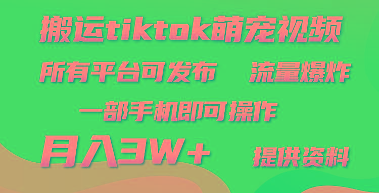 (9618期)搬运Tiktok萌宠类视频，一部手机即可。所有短视频平台均可操作，月入3W+-E网资源