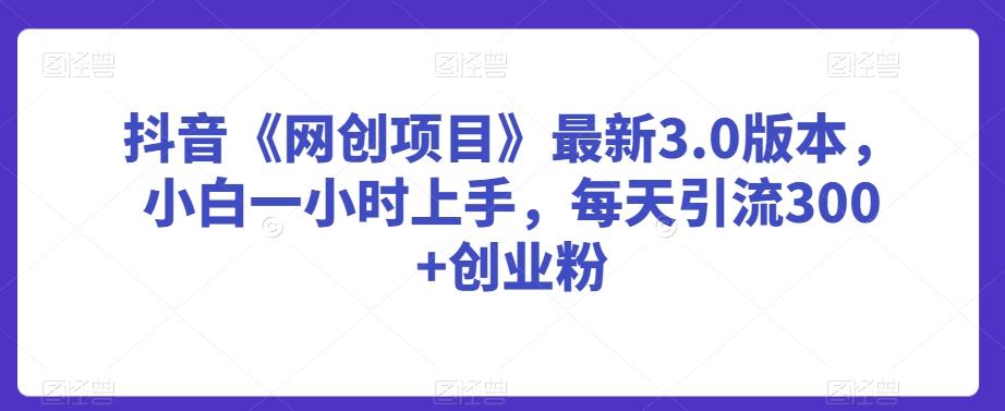 抖音《网创项目》最新3.0版本，小白一小时上手，每天引流300+创业粉【揭秘】-E网资源
