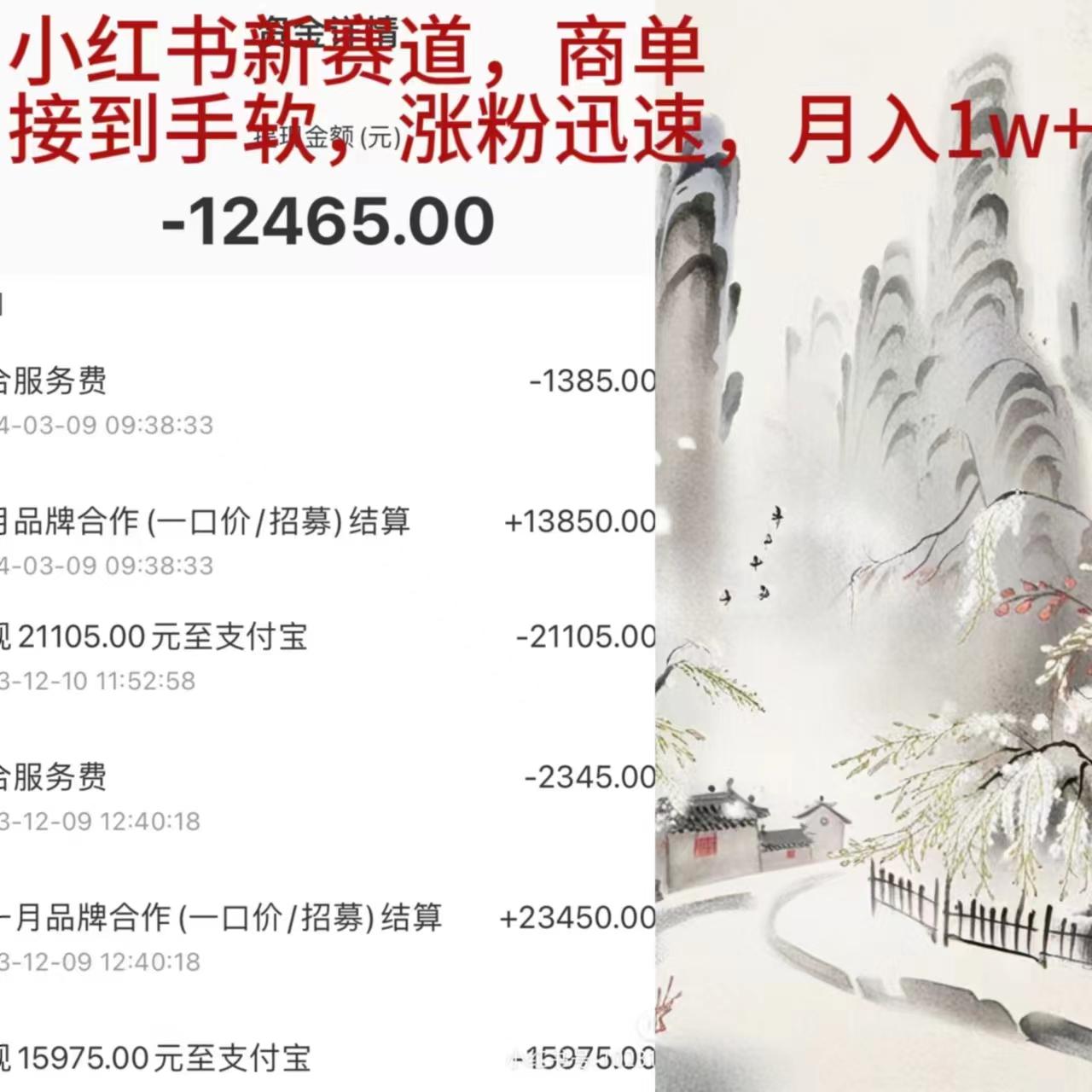 (9476期)小红书新赛道，商单接到手软，涨粉迅速，月入1w+-E网资源