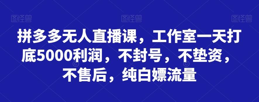 拼多多无人直播课，工作室一天打底5000利润，不封号，不垫资，不售后，纯白嫖流量-E网资源